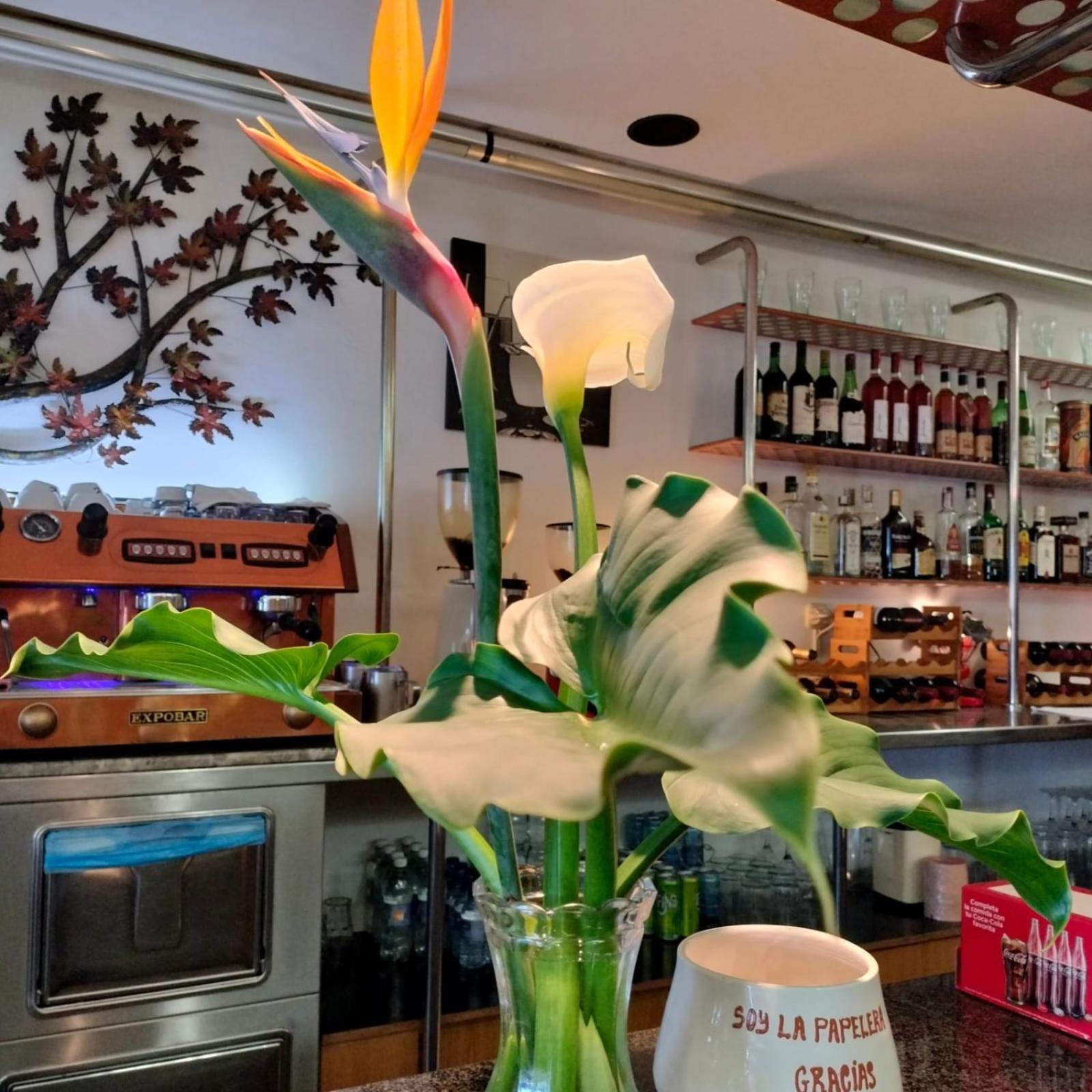 נאביה Hotel Capellan מראה חיצוני תמונה
